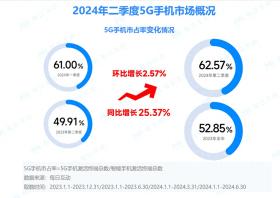 2024半年度5G智能手机报告：苹果以价换量OPPO稳追猛打-图1