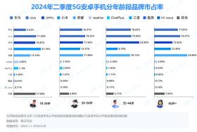 2024半年度5G智能手机报告：苹果以价换量OPPO稳追猛打-图6