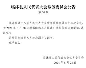 临沭县人民代表大会常务委员会公告-图2