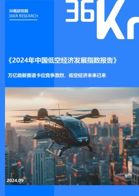 36氪研究院 - 2024年中国低空经济发展指数报告-图5